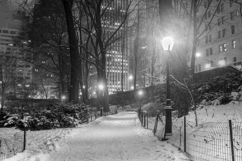 Snow in Central Park | Image via Deposit Photos