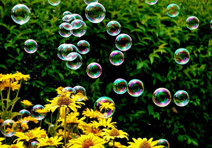 soap bubbles in nature