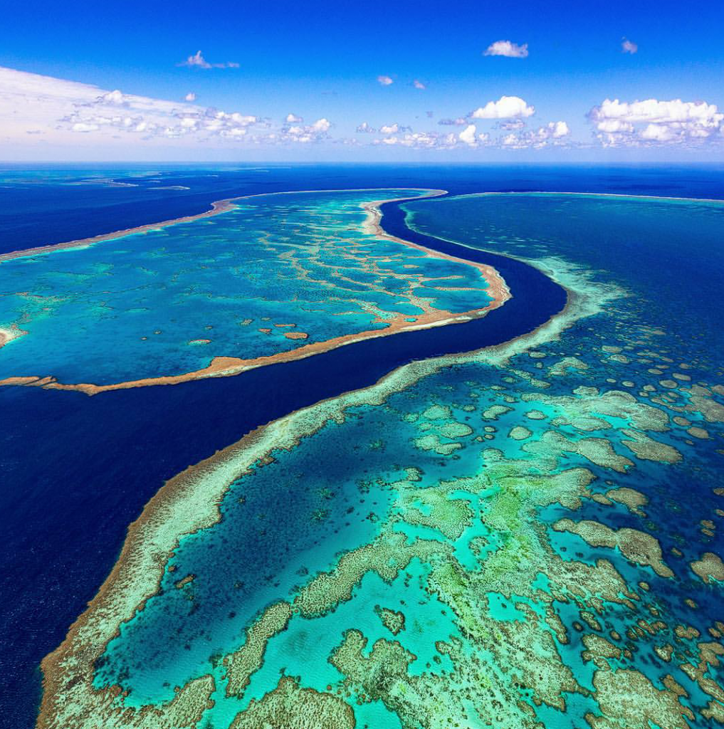 Great Barrier Reef | @tscharke (Instagram)